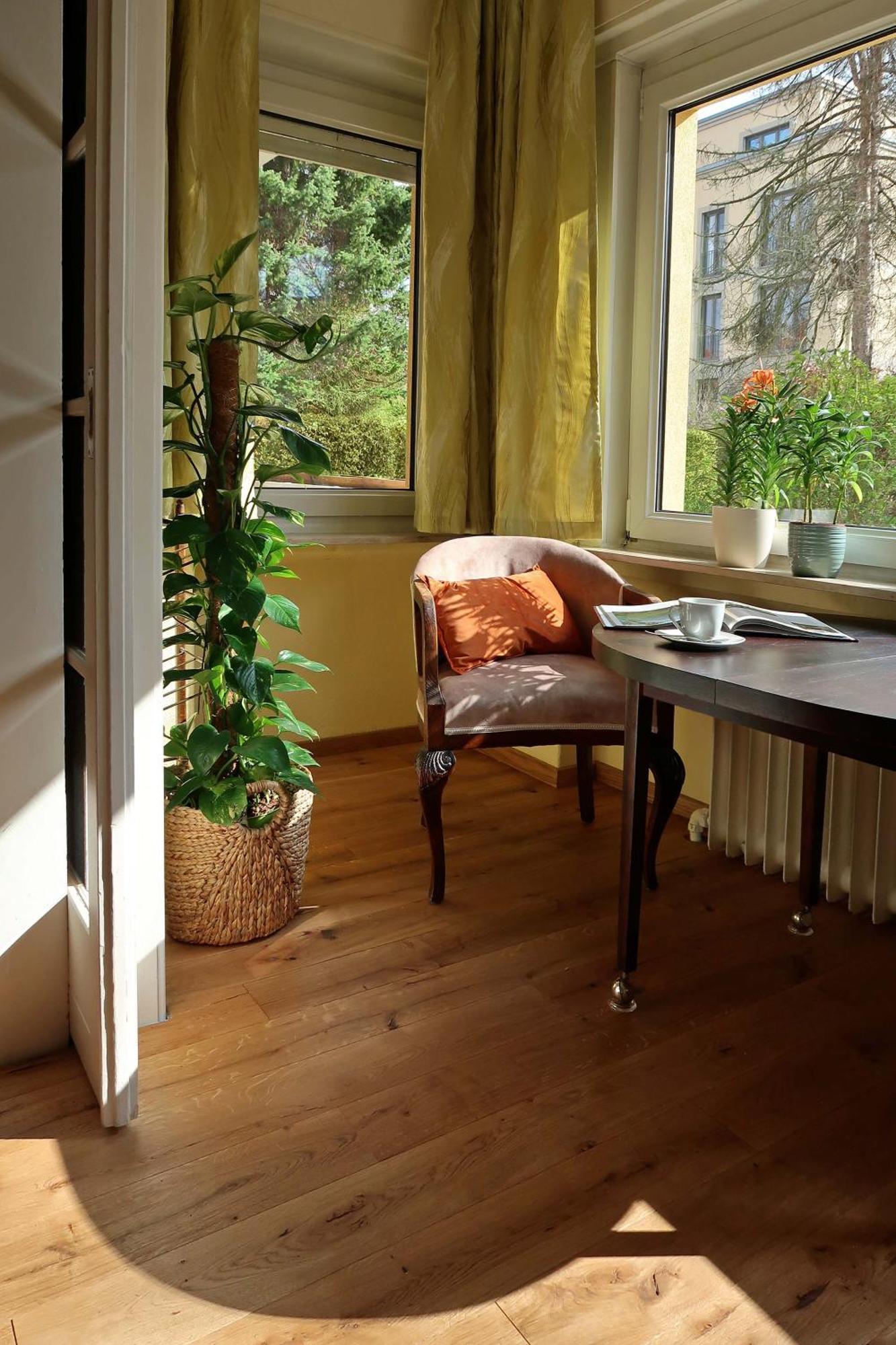 Ankommen Und Wohlfuehlen! 104 Qm In Altstadt-Naehe 德累斯顿 外观 照片